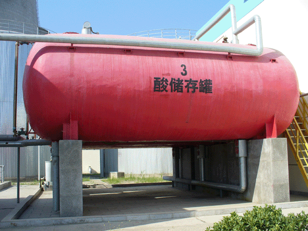 Trees in the mist